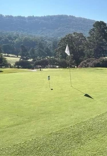 Golf ball resting beside a hole on a golf course